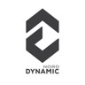 DynamicNord Pakistan logo